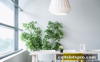 龙虎斗玩法深度解析：cq9电子平台上的概率思维与理性策略