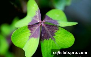 福彩3D玩法解析与选号指南：cq9电子平台下的数字彩乐趣