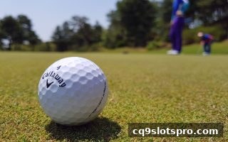 cq9电子平台大小单双玩法深度解析：规则、策略与实战导航
