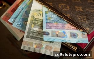 彩票资金分配全解析与理性参与指南 | cq9电子