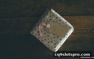 cq9电子平台充值返佣细则全揭秘：深度解析优惠与返利机制