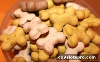 cq9电子平台水果机与NBA直播深度指南：从入门到进阶玩法全解析