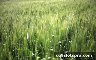 cq9电子深度解读：JILI电子游戏互动回馈机制全攻略