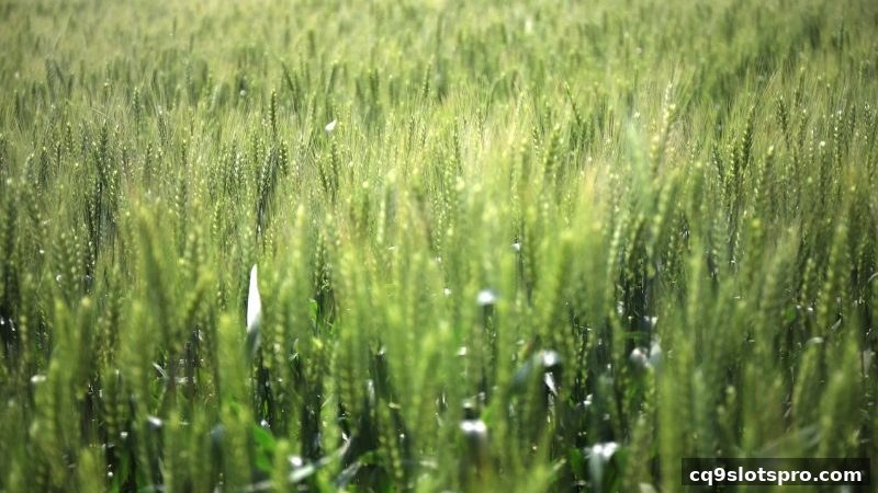 cq9电子深度解读：JILI电子游戏互动回馈机制全攻略