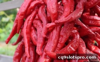 cq9电子飞禽走兽VIP特权深度解析：等级福利、获取技巧与理性玩法