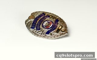 全球电子游戏监管与合规框架深度剖析：cq9电子视角下的法律风险全解读