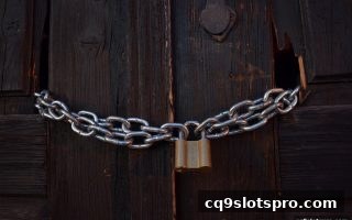 cq9电子在线娱乐平台安全协议核心解读