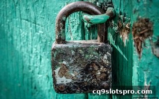 cq9电子平台滚球盘维权全攻略：五大步骤保障你的权益