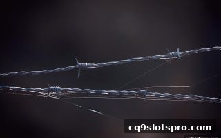 安卓设备安全下载终极指南：cq9电子带你识别恶意软件威胁与防护策略