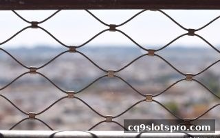 cq9电子平台多维策略赋能用户权益保障：从规则透明到社群共建