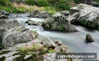 解锁cq9电子LOL比赛数据分析工具，打造你的观赛新视角